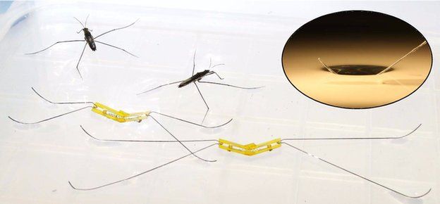 Water striders and water strider robot (c) Seoul National University
