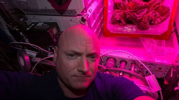 Scott Kelly with lettuce on ISS