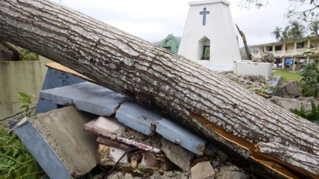A tomb is crushed by a falling tree in Les Cayes, southern Haiti