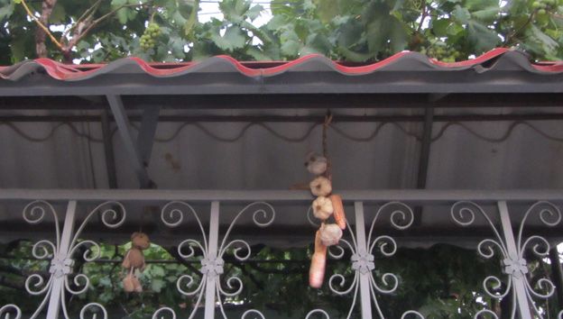 Stuffed toy and vegetables hanging from roof