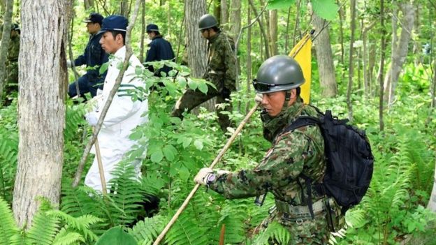 Searchers work through undergrowth in Hokkaido, Japan (2 June 2016)