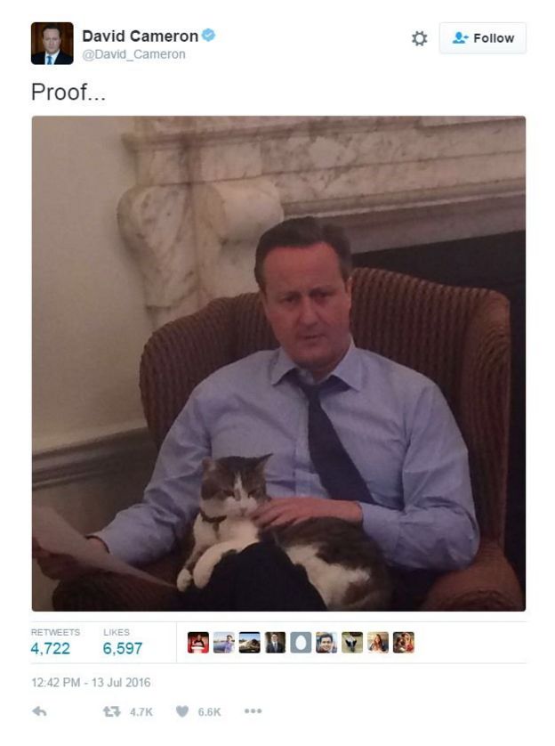 Tweet showing David Cameron and Larry the cat