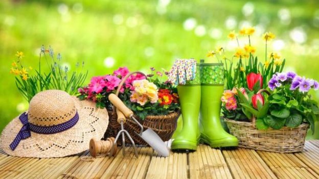 Vasos de plantas e chapéu para jardinagem