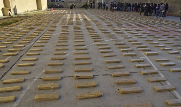 Marihuana incautada en Bolivia