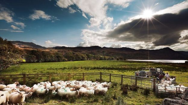 சிலின்டி இசாஃப் பண்ணை, சிலின் டினாஸ்