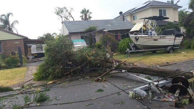Trees and powerlines have littered the streets of Kurnell in Sydney's south