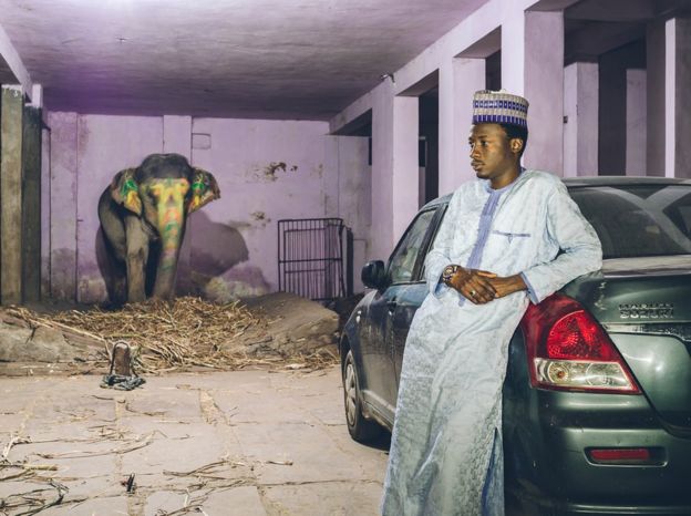 Ameenou, Nigeria / Jaipur