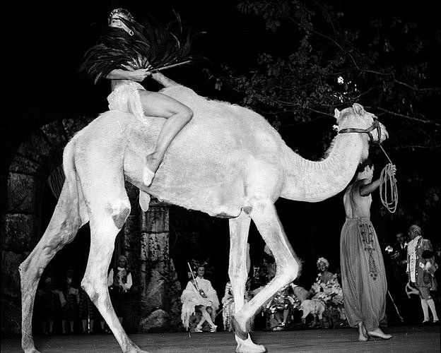 la bailarina francesa Renee 'Zizi' Jeanmaire llega montada en una camello