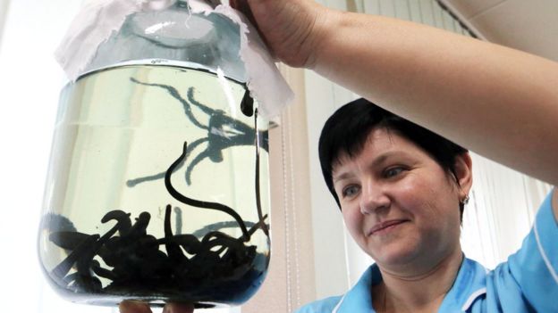 Nurse with jar of leeches