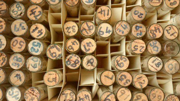 Test tubes full of seeds from Glanrhyd Hospital