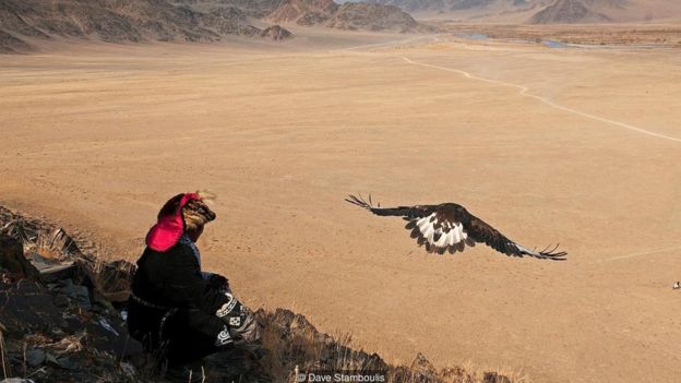 Female eagles are the best hunters because they are more aggressive and heavier than males