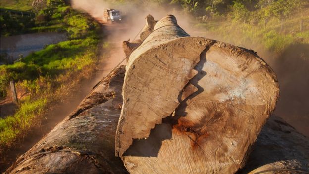caminhão com toras de madeira na Amazônia