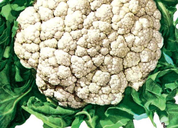 Coliflor