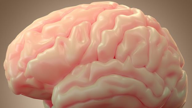 Cerebro
