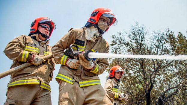 Bomberos con una manguera combatiendo las llamas