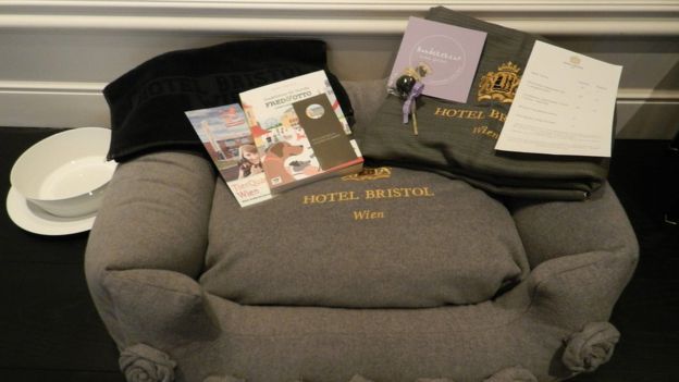 Dog cushion and welcome back at the Bristol Hotel in Vienna
