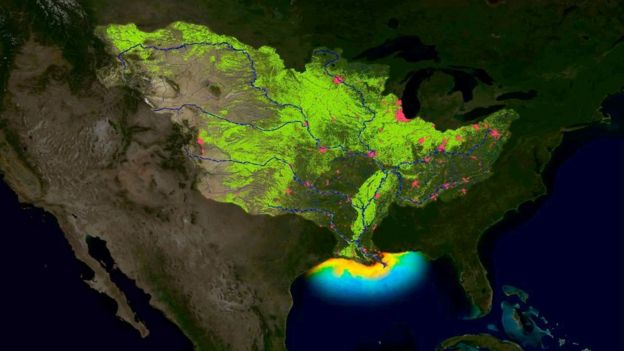 marine dead zone