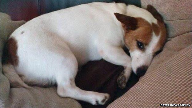 Jack Russell, Gunner