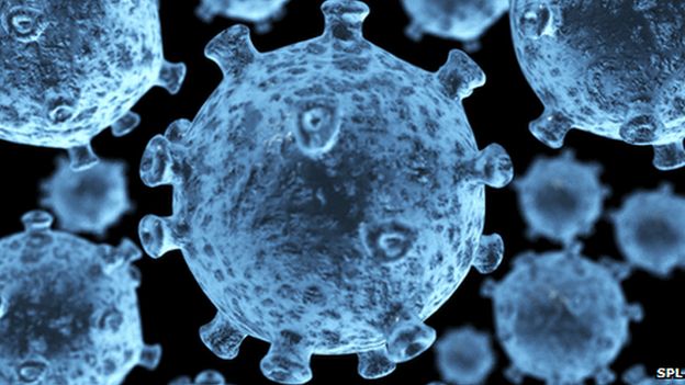 The human immunodeficiency virus (HIV) attacks the immune system