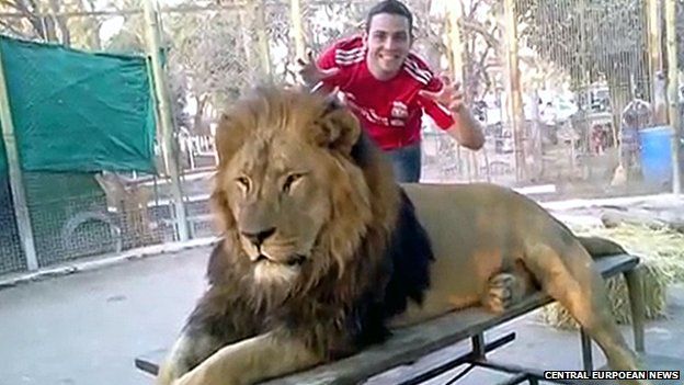 A visitor posing with a lion