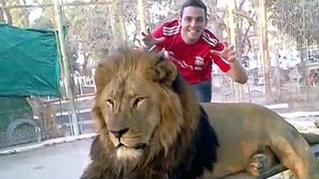 A visitor posing with a lion