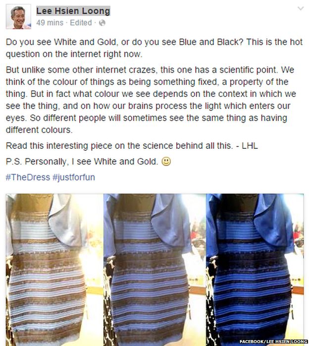 white and gold dress original