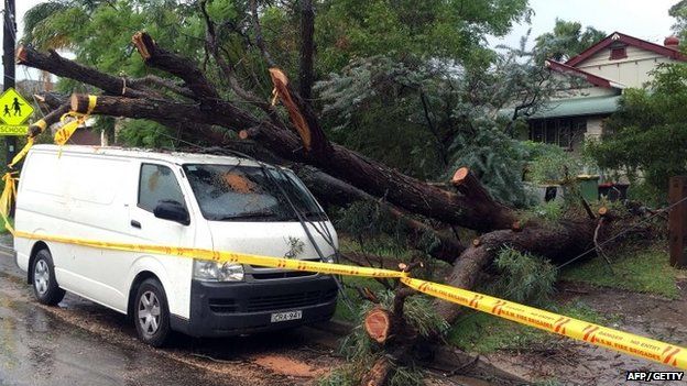 An uprooted tree fall on a parked car in the residential area of the western Sydney following an over night strong storm on 21 April 2015.