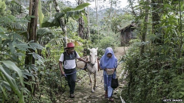 42 year old Ridwan Sururi accompanied by his daughter Indriani Fatmawati and Luna, a horse used as mobile library walk to Miftahul Huda Islamic elementary school on May 5, 2015 in Serang Village, Purbalingga, Central Java Indonesia.