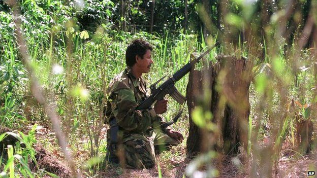 A Farc rebel in a coca field, 2000