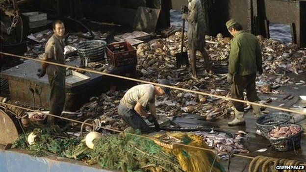 Bottom trawlers are considered the most destructive fishing vessel in the industry