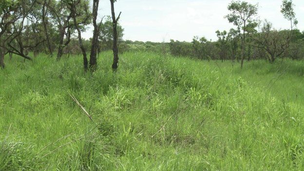 Land in Apaa northern Uganda