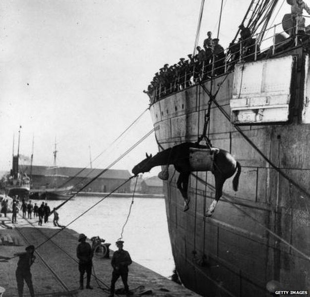 1915: British troops landing horses from a ship at Salonika to move to the Balkan battle front.
