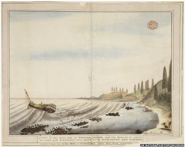 HMS Sirius lies wrecked in Turtle Bay. By an unknown Port Jackson Painter, c. 1790.