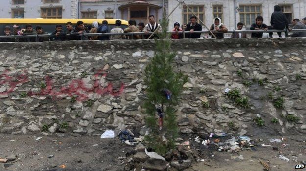 A green tree has been planted as a memorial on the bank of a river near to where a woman was beaten with sticks and stones (24 March 2015)