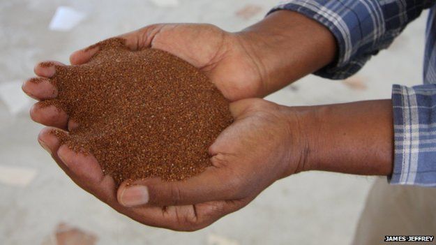 A man holding teff