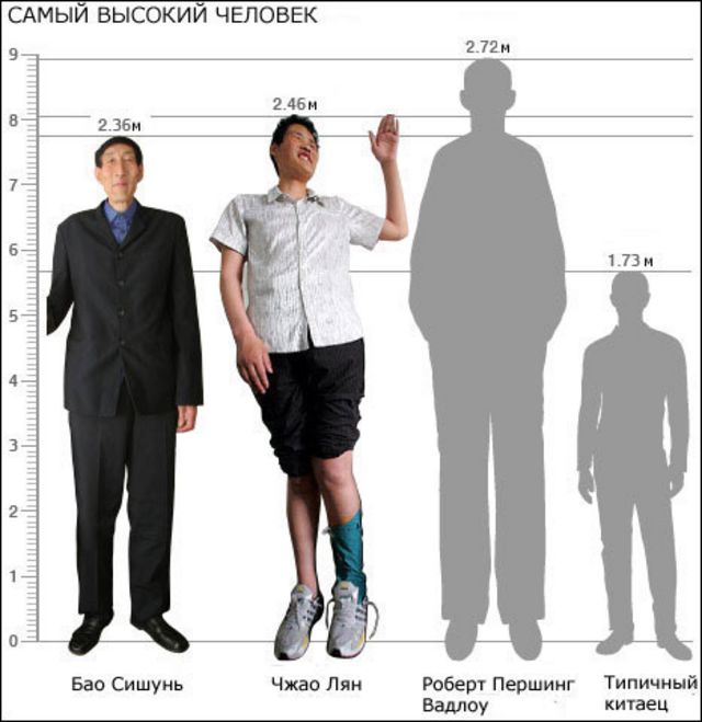 Amazon height comparison pictures