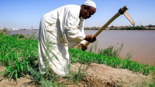 النيل
