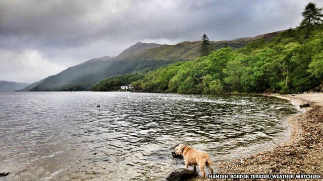A dog by a lake near hills on a cloudy day