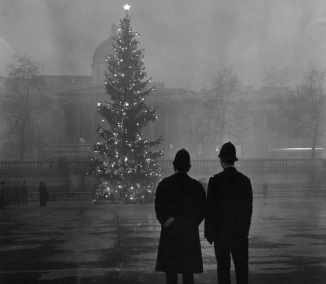 伦敦特拉法加广场的圣诞树