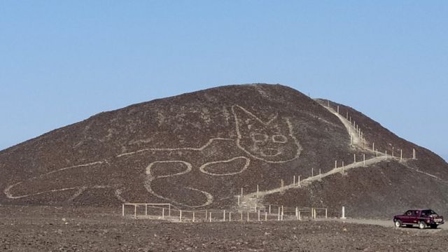Кот