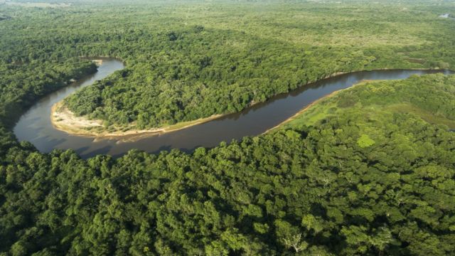 A Emenda Em Projeto De Lei Que Exp E Pantanal A Avan O De Agrot Xicos A