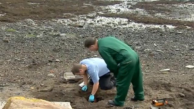 Scientists on Dalgety Bay beach