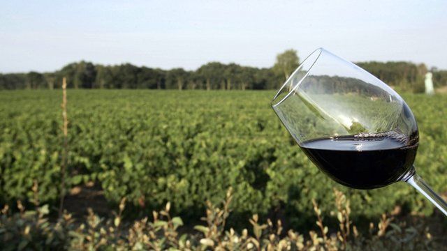 Glass of red wine