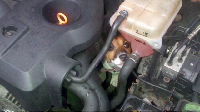 Betty in engine