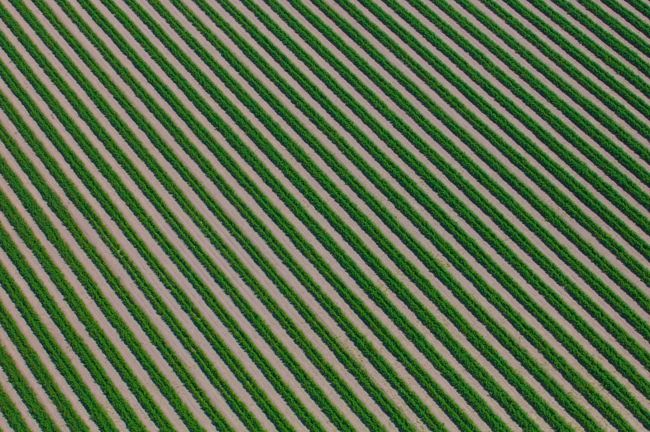 Аэрофотосъемка позволяет увидеть необычную сторону жизни сельской Австралии.
