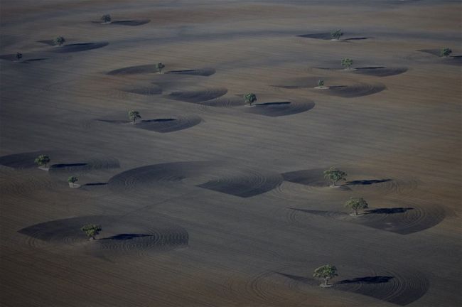 Аэрофотосъемка позволяет увидеть необычную сторону жизни сельской Австралии.