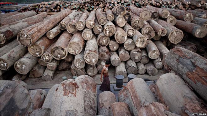 Workers walk past a log pile in Yangon, Myanmar (April 2014)
