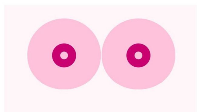Captura de pantalla de la ilustración de un par de senos usando círculos rosados.