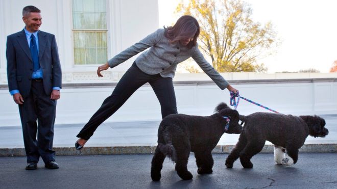 First lady Michelle Obama is pulled away by her dogs Bo and Sunny (photo from November 2015)