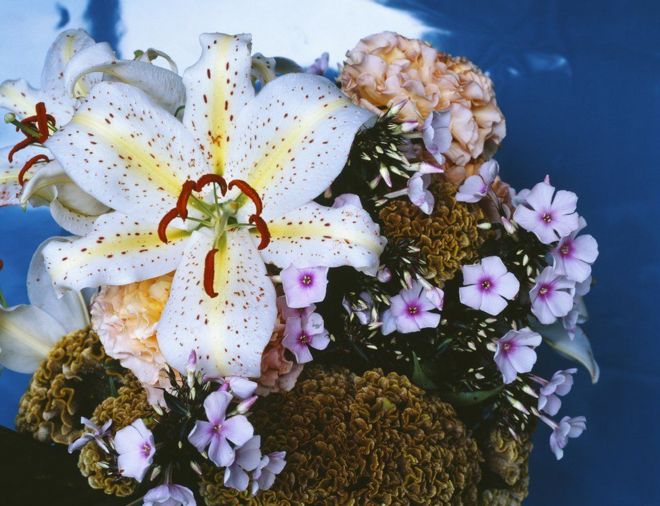 معرض للاحتفاء بالتصوير الفوتوغرافي